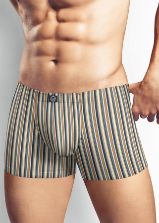 171938 Трусы мужские CLE MSH525511