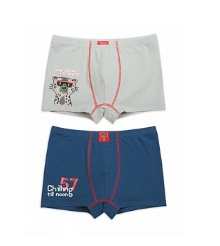 Трусы шорты для мальчиков Pelican 170999