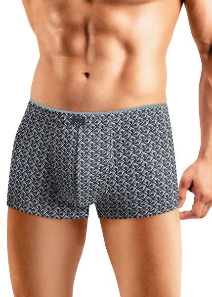 177229 Трусы мужские CLE MH431143