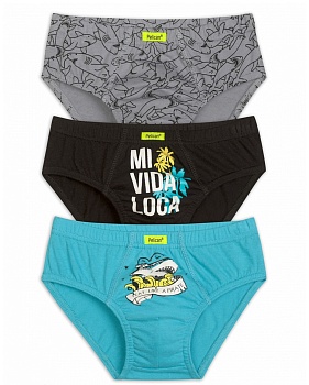 Трусы слипы для мальчиков Pelican 171732