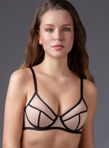 176558 Комплект нижнего белья INDEFINI WXY3077 (2)