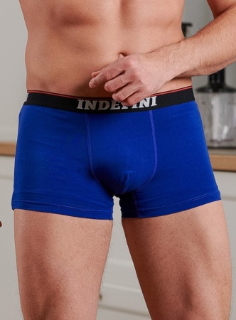 176579 Трусы мужские INDEFINI MUB3015