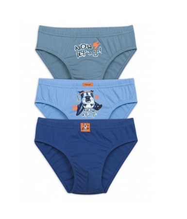 171167 BULB4272(3) трусы для мальчиков