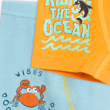 155120 BUHB3100(2) трусы для мальчиков (1)