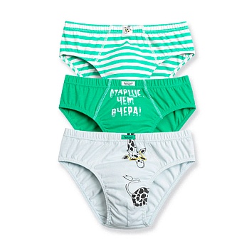 Трусы слипы для мальчиков Pelican 146511