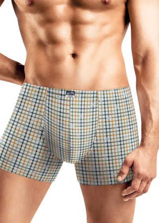 176542 Трусы мужские CLE MSH430111