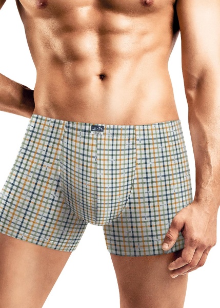 176542 Трусы мужские CLE MSH430111
