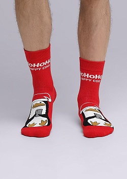 Носки цветные Новый год для мужчин Clever 177067