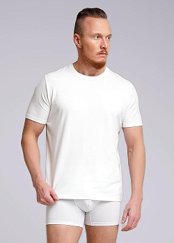 Футболка для мужчин Clever 178583