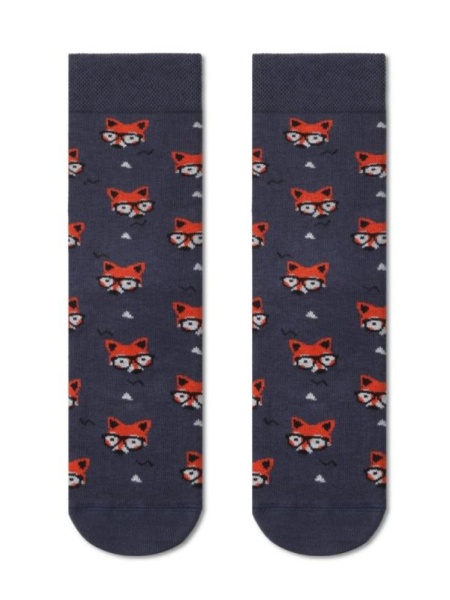 176711 Носки мужские DIWARI FAMILY LOOK 21C-27СПА 156