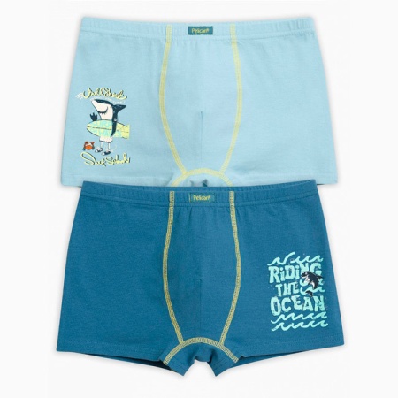 155123 BUHB4100(2) трусы для мальчиков