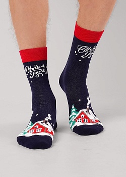 Носки цветные Новый год для мужчин Clever 185345
