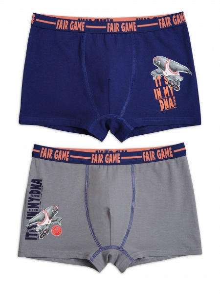 167106 BUHB4225(2) трусы для мальчиков