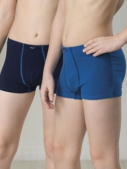 Трусы шорты для мальчиков Pelican 180357