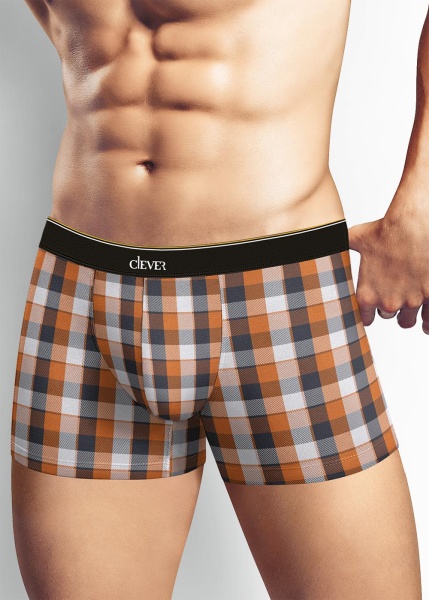 171252 Трусы мужские CLE MSH522013