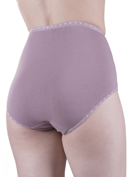 172831 Трусы женские БВ AN4510VZ (1)