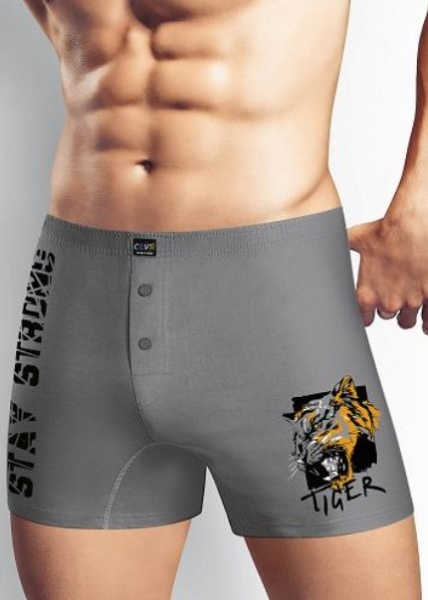 170666 Трусы мужские CLE MBX416912