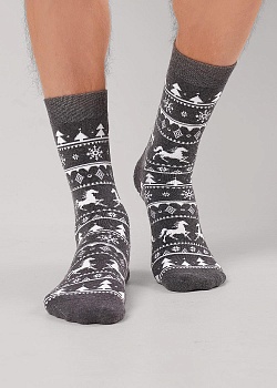 Носки цветные Новый год для мужчин Clever 185341