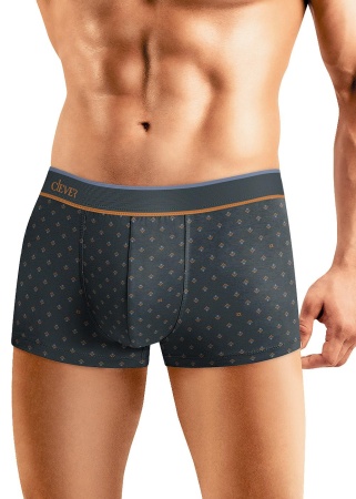 176983 Трусы мужские CLE MH430513