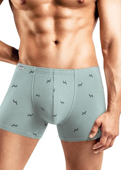 Трусы шорты для мужчин Clever 176388