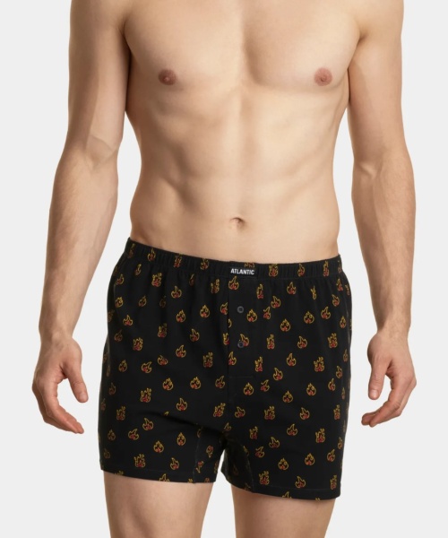 177521 Боксеры муж. 2MBX-043 (2)