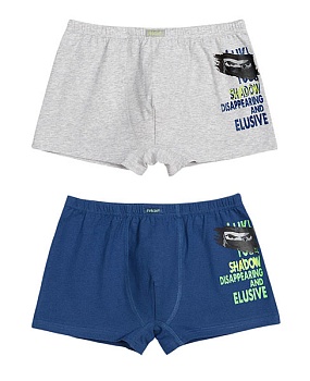 Трусы шорты для мальчиков Pelican 143022