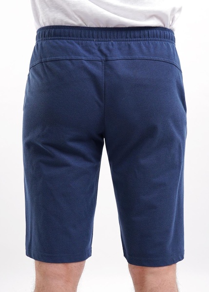 172607 Шорты мужские CLE 601118зэ (1)