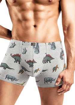 Трусы шорты для мужчин Clever 178381