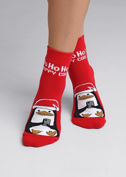 177053 Носки жен CLE Д2351П