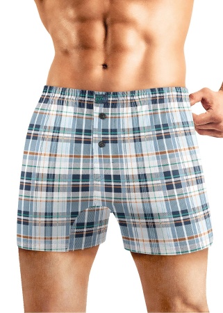 178036 Трусы мужские CLE MBX541211