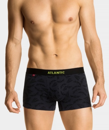 170925 Шорты муж. 3MH-040 (1)