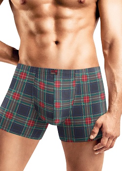 Трусы шорты Новый год для мужчин Clever 179216