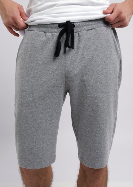 173893 Шорты мужские CLE 601716/7фэ (3)