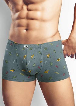 Трусы шорты для мужчин Clever 171933