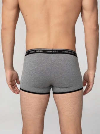 176717 Шорты мужские 055 FX