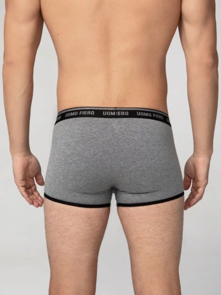 176717 Шорты мужские 055 FX