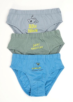 Трусы слипы для мальчиков Clever 185978