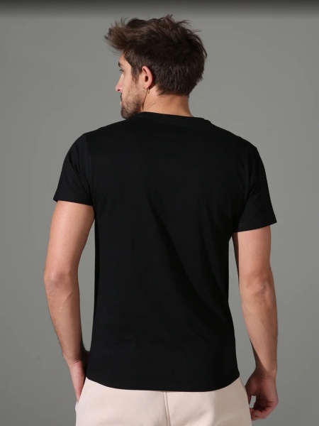 173275 Футболка мужская Sergio Dallini SGT755-2 (2)