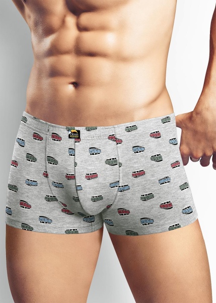 171664 Трусы мужские CLE MH524911