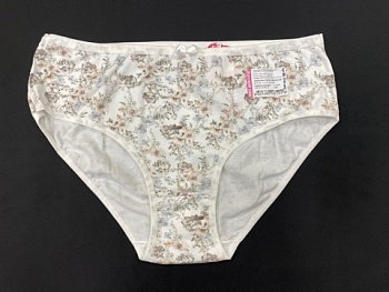 Трусы слипы для женщин MISS BEAUTIFUL 176530