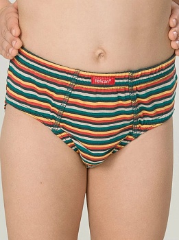 Трусы слипы для мальчиков Pelican 176204