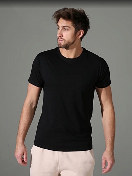 Футболка для мужчин Sergio Dallini 173275