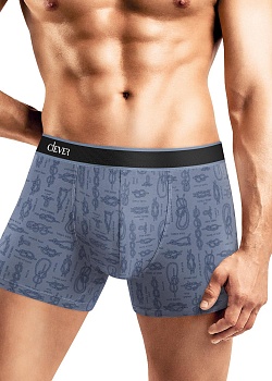Трусы шорты для мужчин Clever 178533