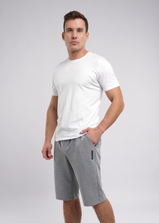 173893 Шорты мужские CLE 601716/7фэ (2)