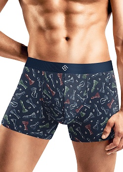 Трусы шорты для мужчин Clever 176687