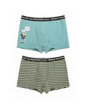 Трусы шорты для мальчиков Pelican 170996