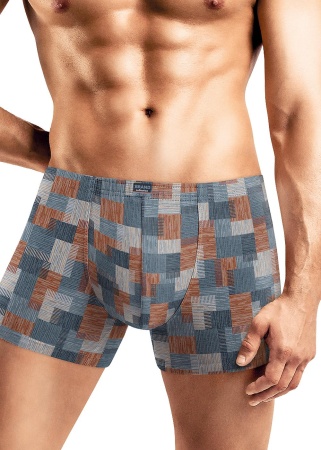 177796 Трусы мужские CLE MSH540441