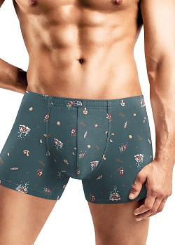 Трусы шорты Новый год для мужчин Clever 185356