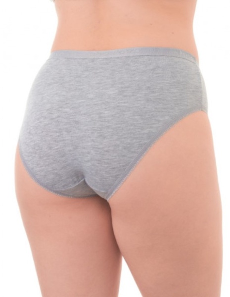 172853 Трусы женские БВ SL4001GR (1)