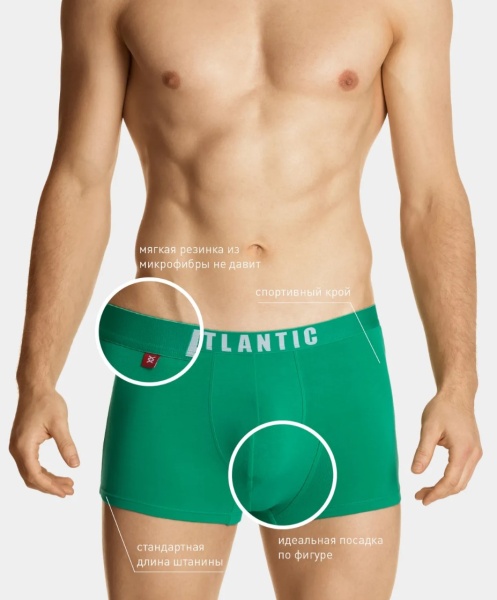 173813 Шорты муж. 5SMH-004 (1)